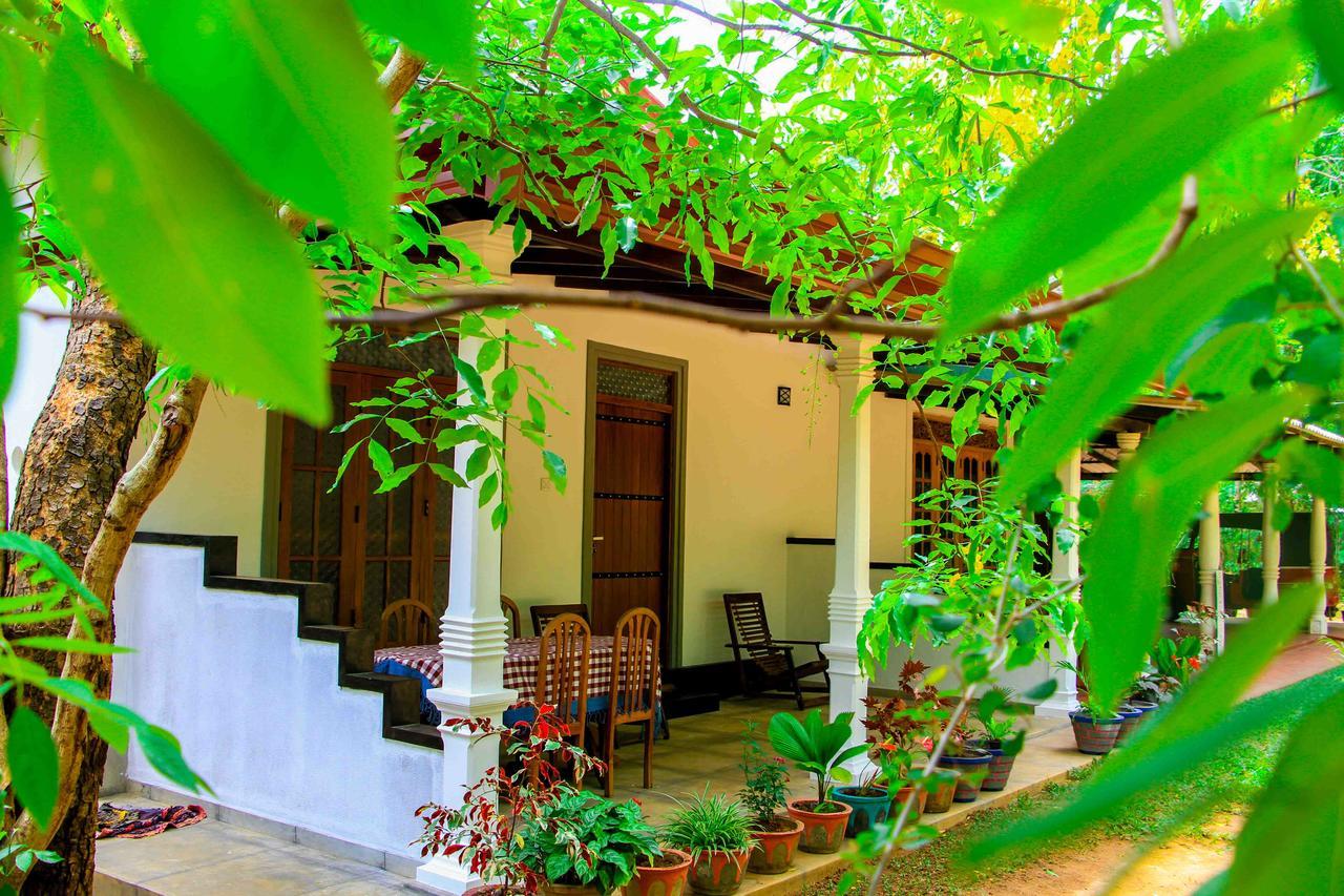 Sigiri Anu Homestay Sigiriya Ngoại thất bức ảnh